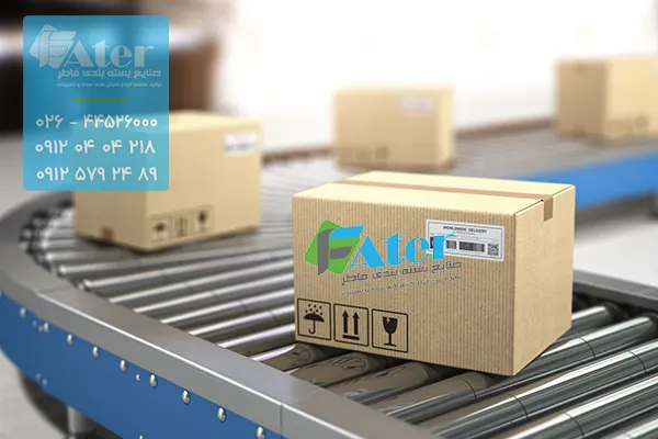 کارتن فلکسویی