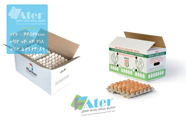 کارتن تخم مرغ