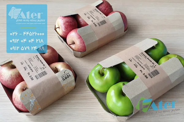 انواع کارتن سیب