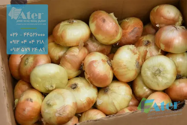 انتخاب کارتن پیاز مناسب