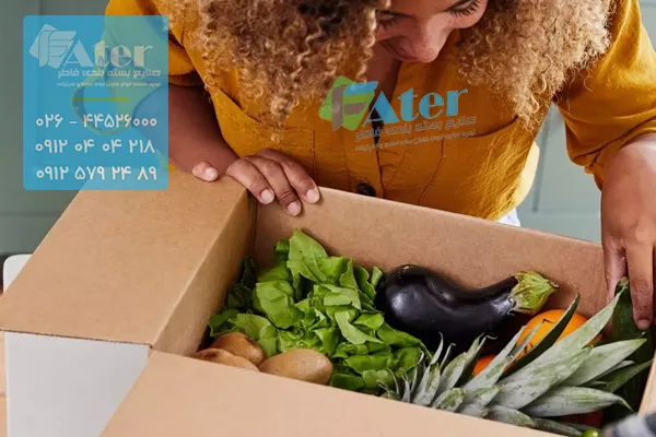 انواع کارتن بسته بندی صیفی جات