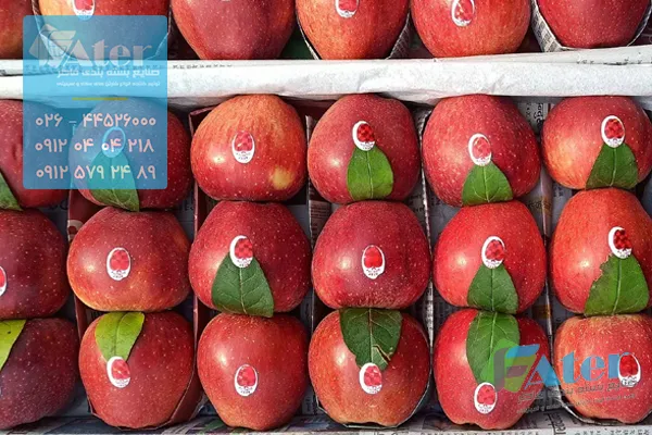 بسته بندی سیب درختی