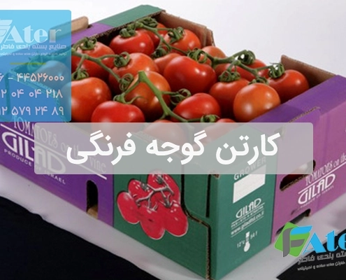 کارتن گوجه فرنگی | خرید کارتن بسته بندی گوجه