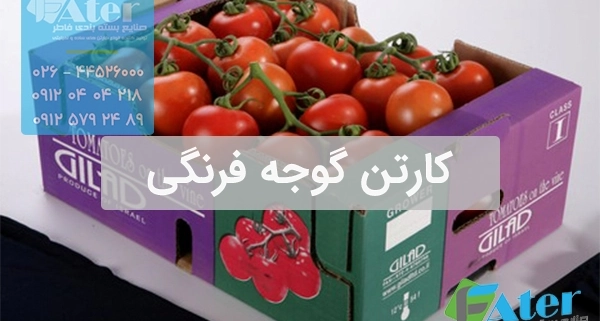 کارتن گوجه فرنگی | خرید کارتن بسته بندی گوجه