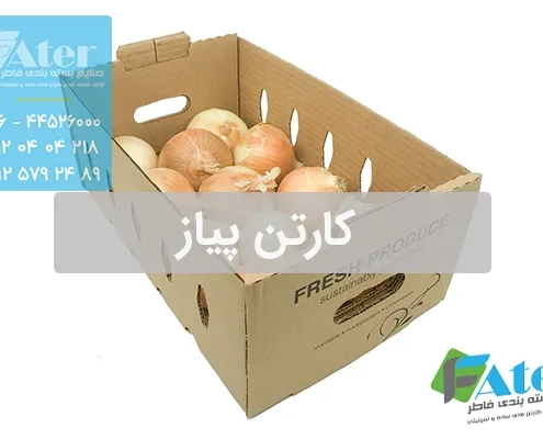 کارتن پیاز | سفارش کارتن پیاز صادراتی
