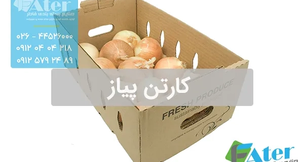 کارتن پیاز | سفارش کارتن پیاز صادراتی