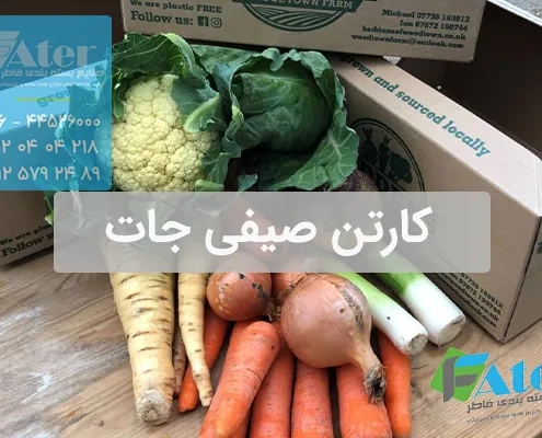 کارتن صیفی جات | خرید کارتن بسته بندی صیفی جات