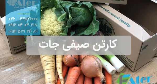 کارتن صیفی جات | خرید کارتن بسته بندی صیفی جات