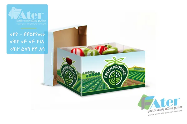 کارتن صیفی جات صادراتی