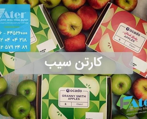 کارتن سیب | سفارش کارتن سیب صادراتی