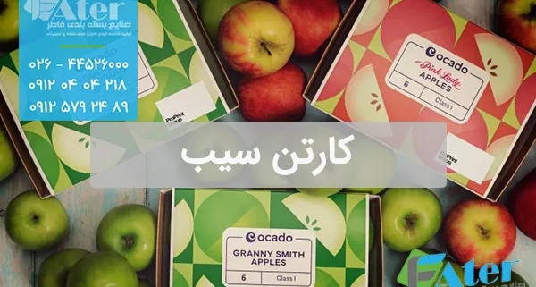 کارتن سیب | سفارش کارتن سیب صادراتی