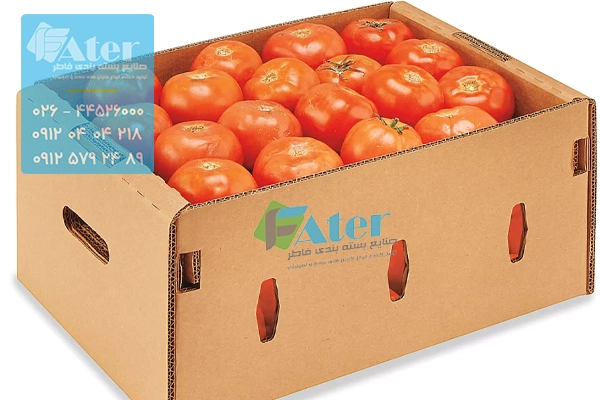 خرید کارتن گوجه فرنگی