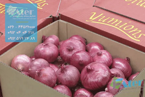 خرید کارتن بسته بندی پیاز