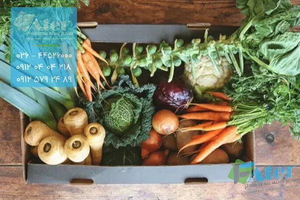 خرید کارتن صیفی جات