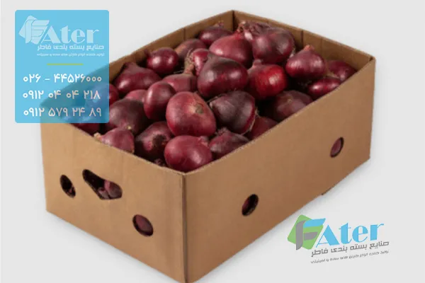 قیمت کارتن پیاز ارزان