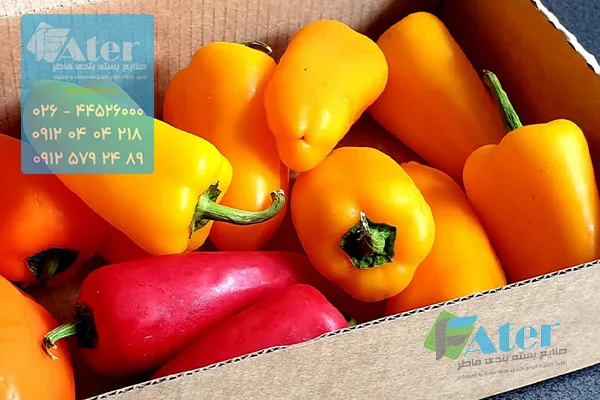 سفارش کارتن فلفل دلمه ای