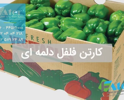 کارتن فلفل دلمه | خرید عمده کارتن فلفل دلمه ای