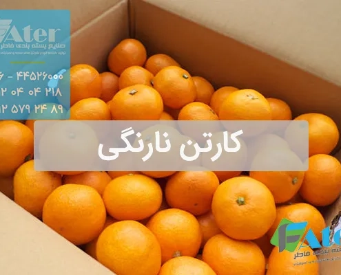 کارتن نارنگی | خرید انواع کارتن بسته بندی نارنگی