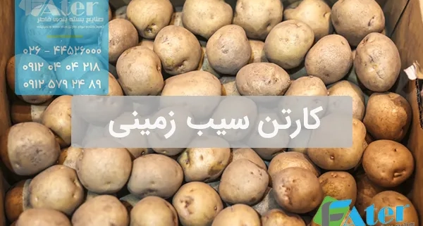 کارتن سیب زمینی