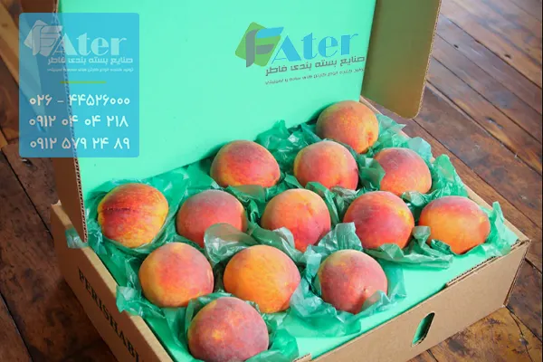 خرید و سفارش کارتن هلو