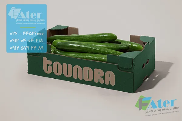 بسته بندی خیار