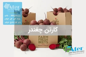 کارتن چغندر | خرید کارتن بسته بندی چغندر