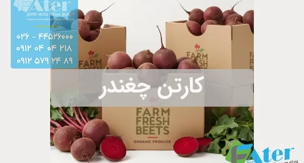 کارتن چغندر | خرید کارتن بسته بندی چغندر