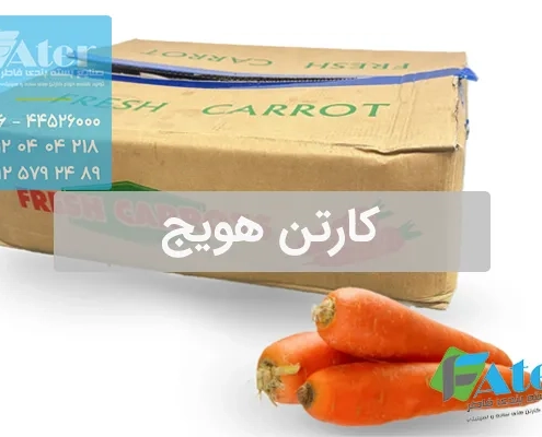کارتن هویج | خرید انواع کارتن بسته بندی هویج