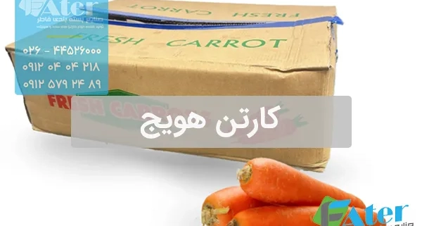 کارتن هویج | خرید انواع کارتن بسته بندی هویج