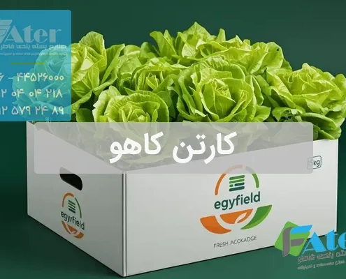 کارتن کاهو | بسته بندی کاهو در انواع کارتن
