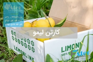 کارتن بسته بندی لیمو
