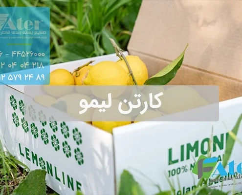 کارتن بسته بندی لیمو