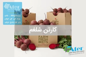 کارتن شلغم | قیمت و خرید کارتن شلغم