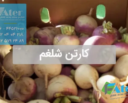 کارتن شلغم | قیمت و خرید کارتن شلغم