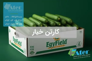کارتن خیار | فروش عمده کارتن بسته بندی خیار