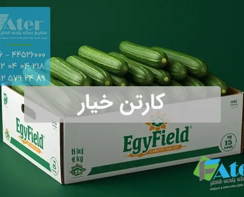 کارتن خیار | فروش عمده کارتن بسته بندی خیار