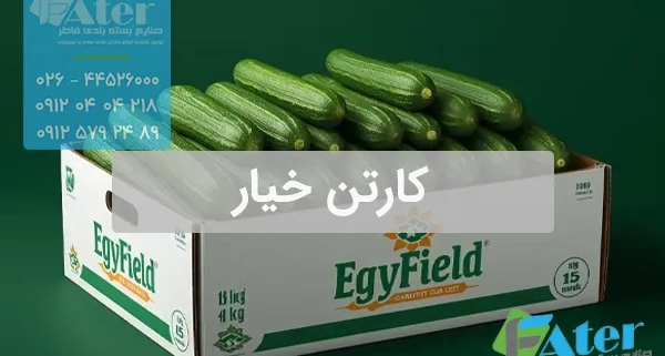 کارتن خیار | فروش عمده کارتن بسته بندی خیار