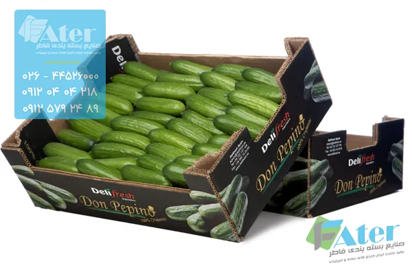 خرید کارتن خیار