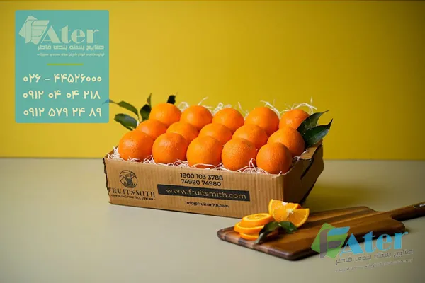 خرید کارتن پرتقال