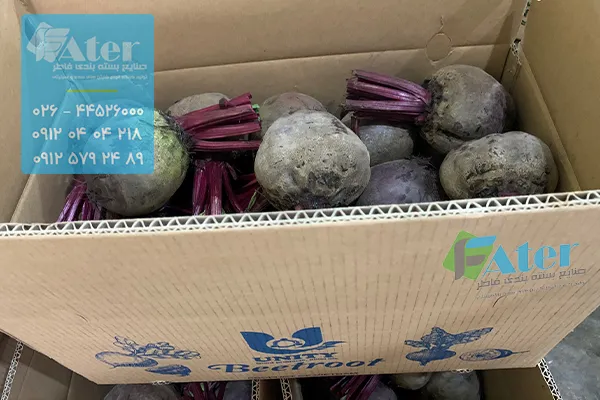 خرید عمده کارتن شلغم